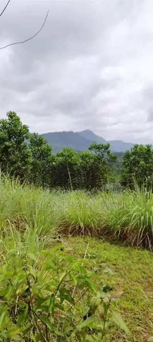 Land for Sale in Gampola