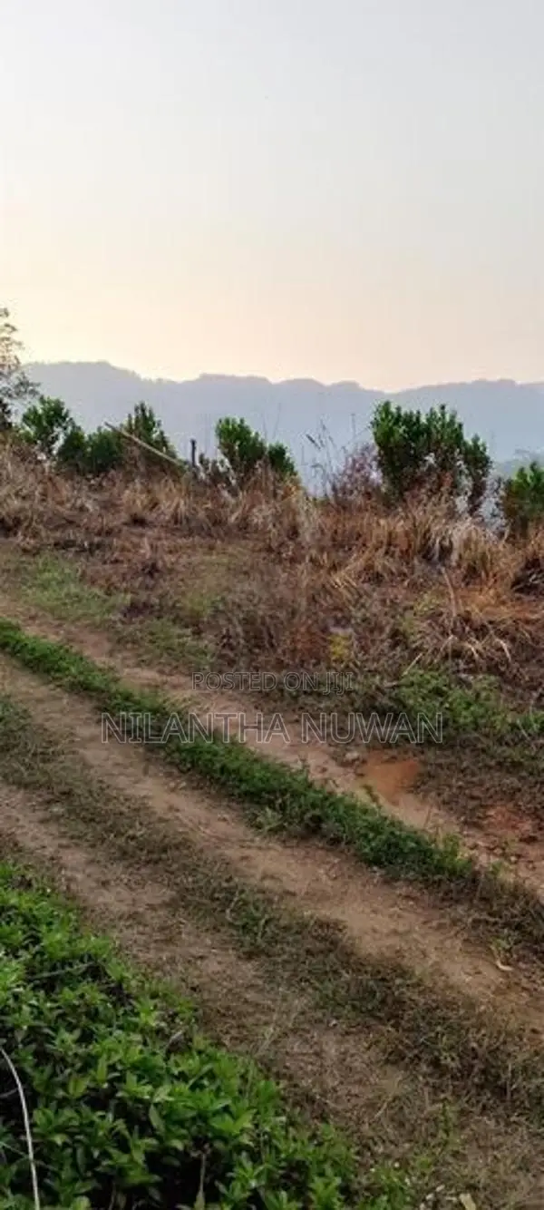 Land for Sale in Gampola