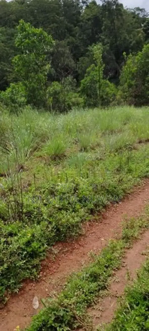 Land for Sale in Gampola