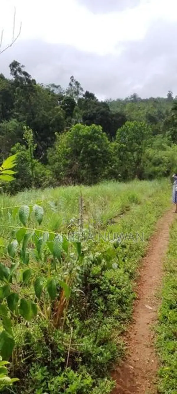 Land for Sale in Gampola