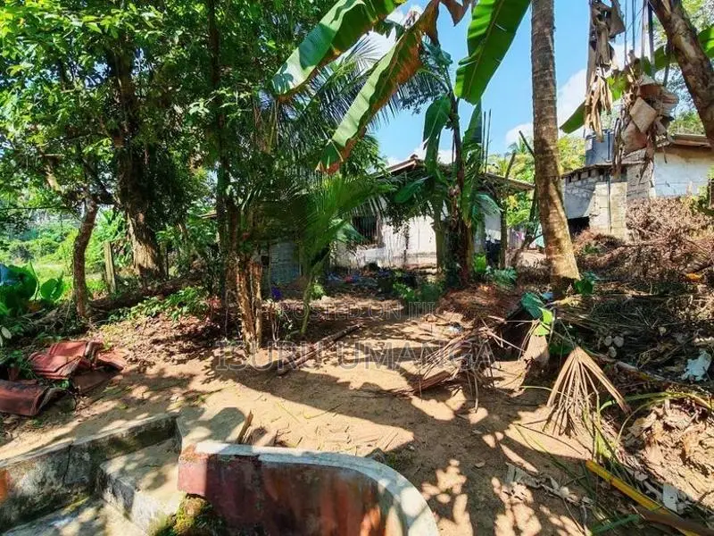 හොරණ - මීපේ (315 පාරට මුහුණලා) වටිනා ඉඩමක් සහ නිවසක් විකිණීමට