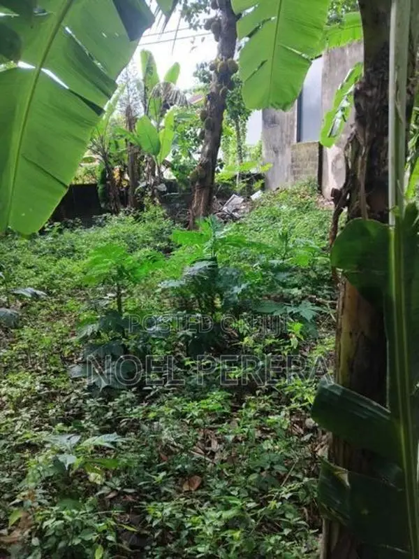 Land for Sale in Nawala