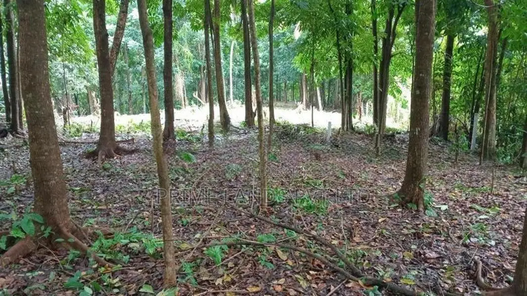 Flat Land for Sale Galagedara