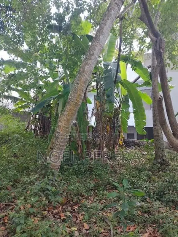Land for Sale in Nawala