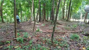Flat Land for Sale Galagedara