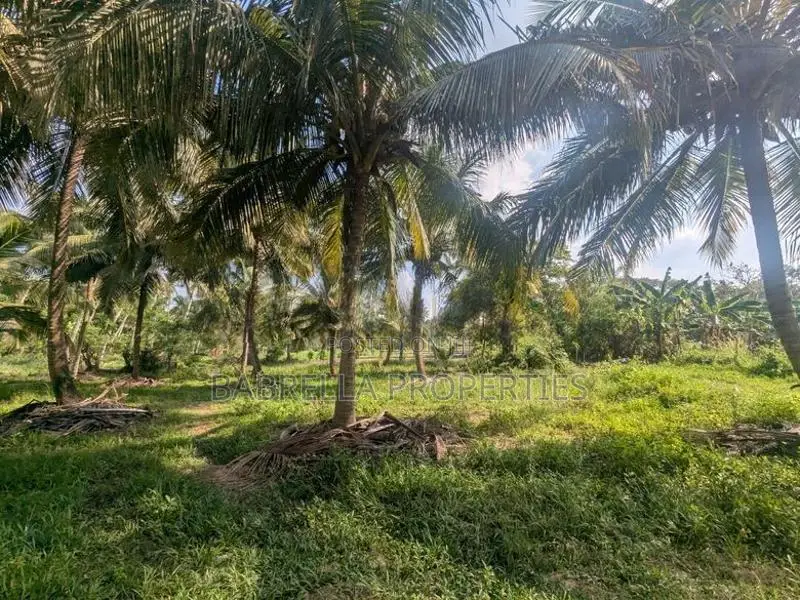 5.5 Acres Coconut Land with Paddy Field for Sale – Padeniya, Wariyapol