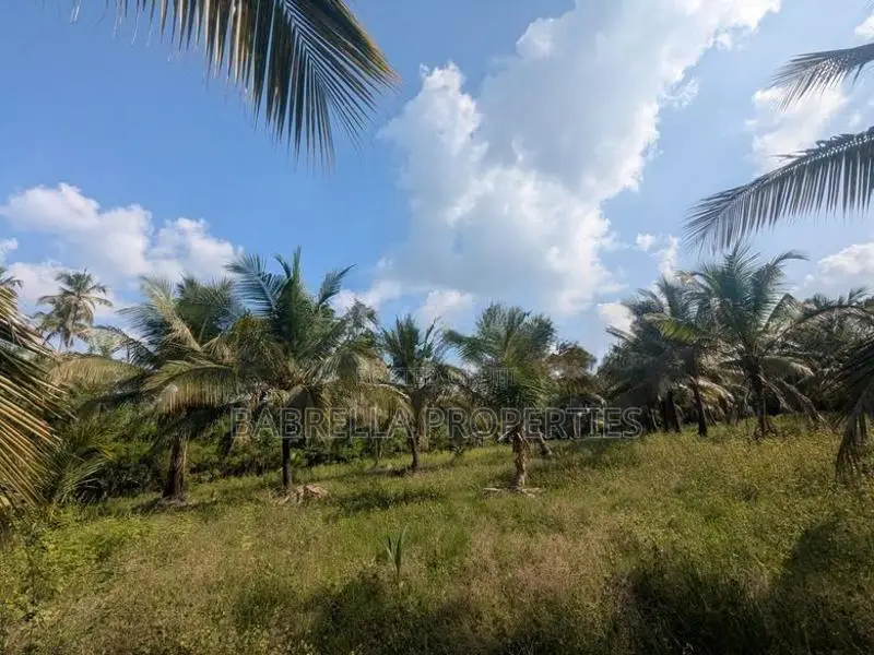 5.5 Acres Coconut Land with Paddy Field for Sale – Padeniya, Wariyapol