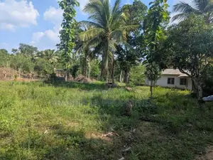 5.5 Acres Coconut Land with Paddy Field for Sale – Padeniya, Wariyapol