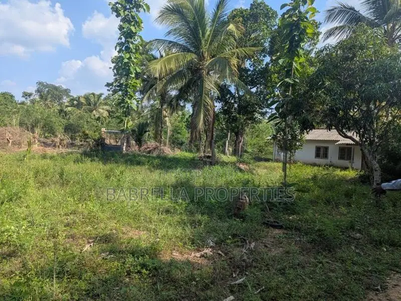 5.5 Acres Coconut Land with Paddy Field for Sale – Padeniya, Wariyapol