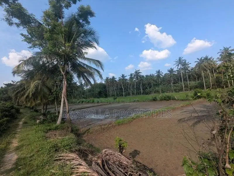 5.5 Acres Coconut Land with Paddy Field for Sale – Padeniya, Wariyapol