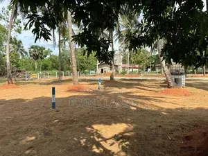 අනුරාධපුර සාලියමාවතෙන් සින්නක්කර බිම්කොටසක් වීකිණීමට