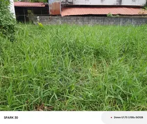 Land for Sale Idh Gotatowa