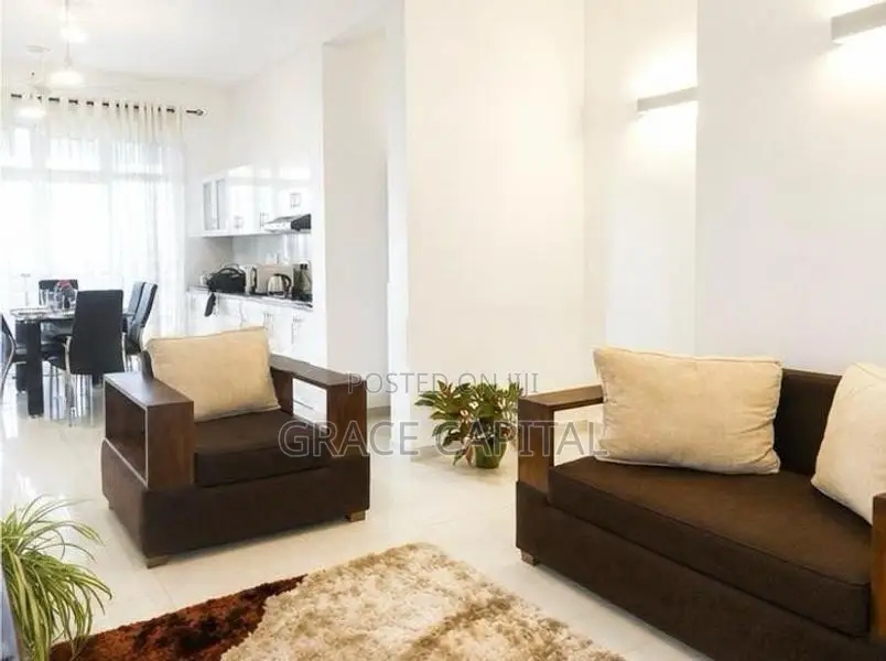 Fully furnished apartment for rent