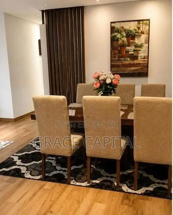 Fully furnished apartment for rent