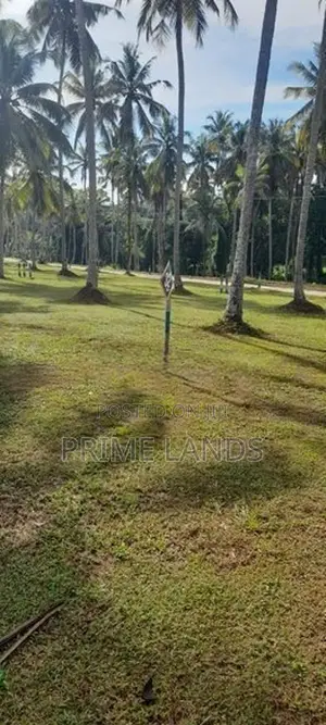 ගම්පහ මිරිස්වත්ත කොළඹපාරෙන් බිම්කොටස්