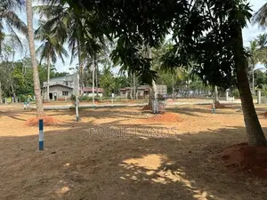අනුරාධපුර සාලියමාවතෙන් සින්නක්කර බිම්කොටසක් වීකිණීමට