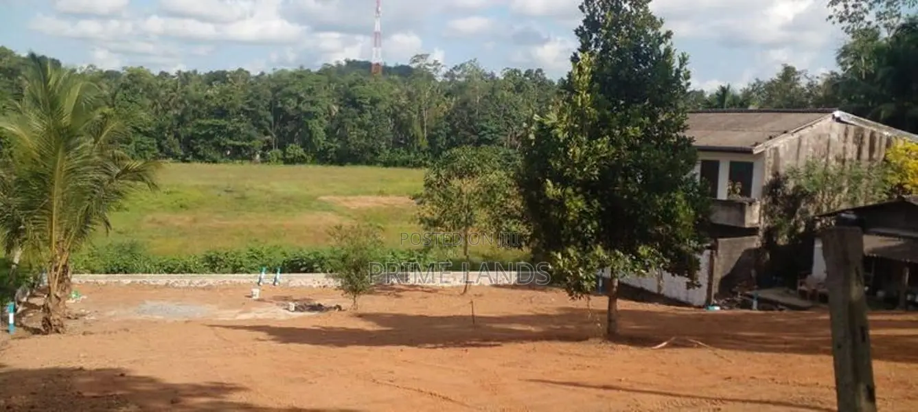 කඩවත වෑබඩ පාරෙන් සුන්දර වෙල්‍ යායකට මුහුණලා බිම්කොටස්