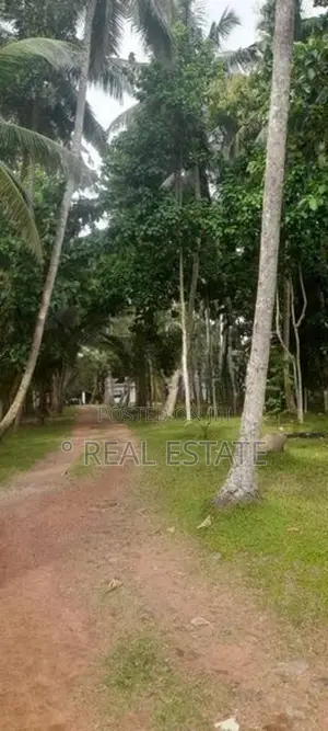 Land for sale in Katana - REF 60
