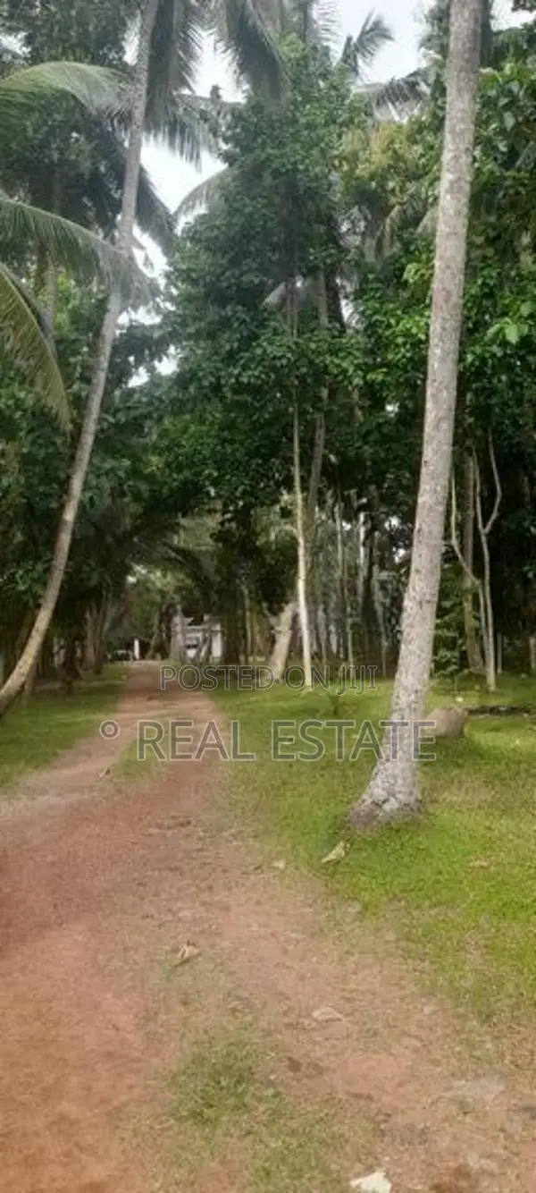Land for sale in Katana - REF 60