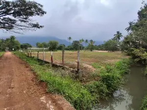 දඹුල්ල නගරයට නුදුරින් සින්නක්කර බිම්කොටස් විකිණීමට