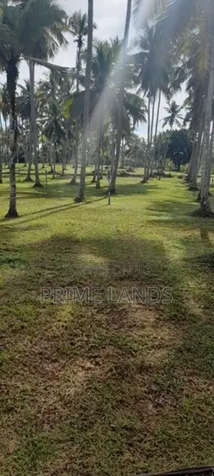 ගම්පහ මිරිස්වත්ත කොළඹපාරෙන් බිම්කොටස්