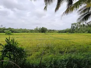 10 Perches Land Sale Moronthuduwa Horana Road