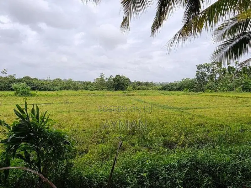 10 Perches Land Sale Moronthuduwa Horana Road