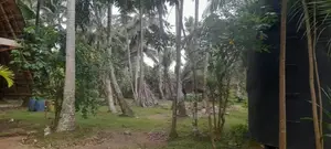 Land for sale in Katana - REF 60