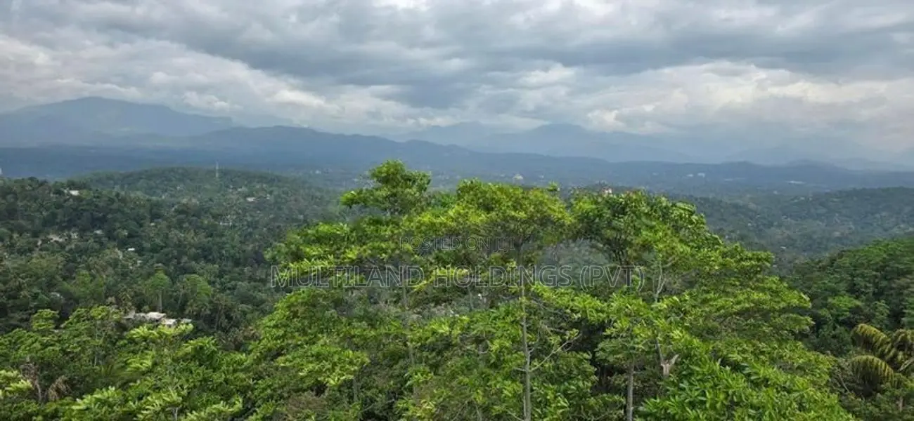 ලස්සන view එකක් ඇති හෝටල් ව්‍යාපෘතියක අනුමැතියන් සහිත ඉඩමක්.(4km kandy