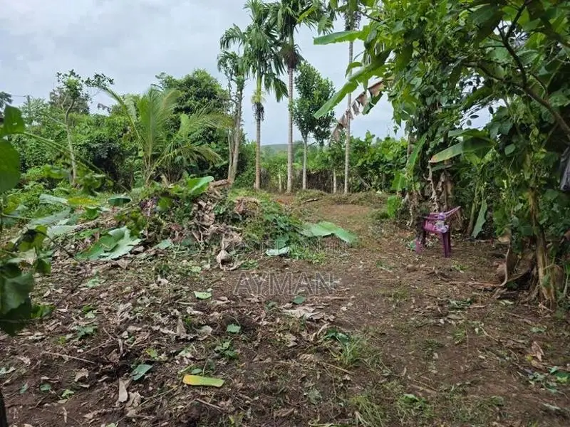 10 Perches Land Sale Moronthuduwa Horana Road