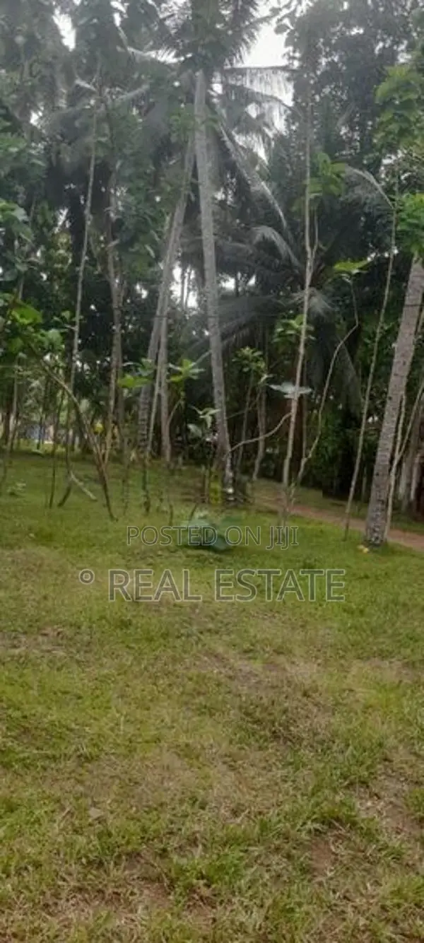 Land for sale in Katana - REF 60