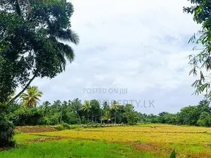 88 Perches of Land for Sale at Kahathuduwa