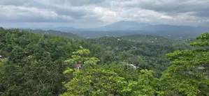 ලස්සන view එකක් ඇති හෝටල් ව්‍යාපෘතියක අනුමැතියන් සහිත ඉඩමක්.(4km kandy