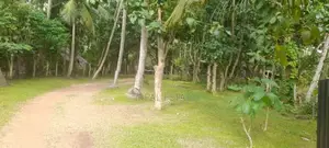 Land for sale in Katana - REF 60