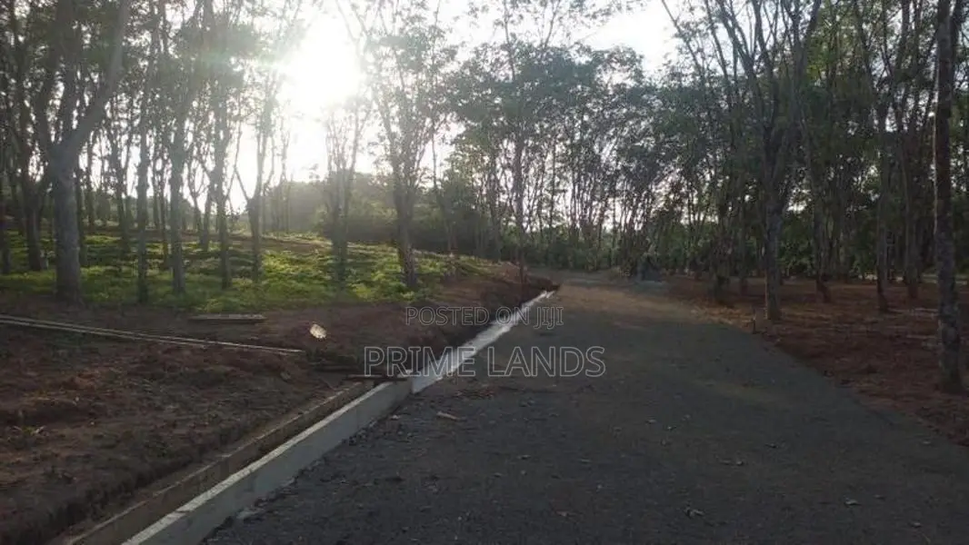 අහංගම සංචාරක කලාපයට ආසන්නව බිම් කොටස්