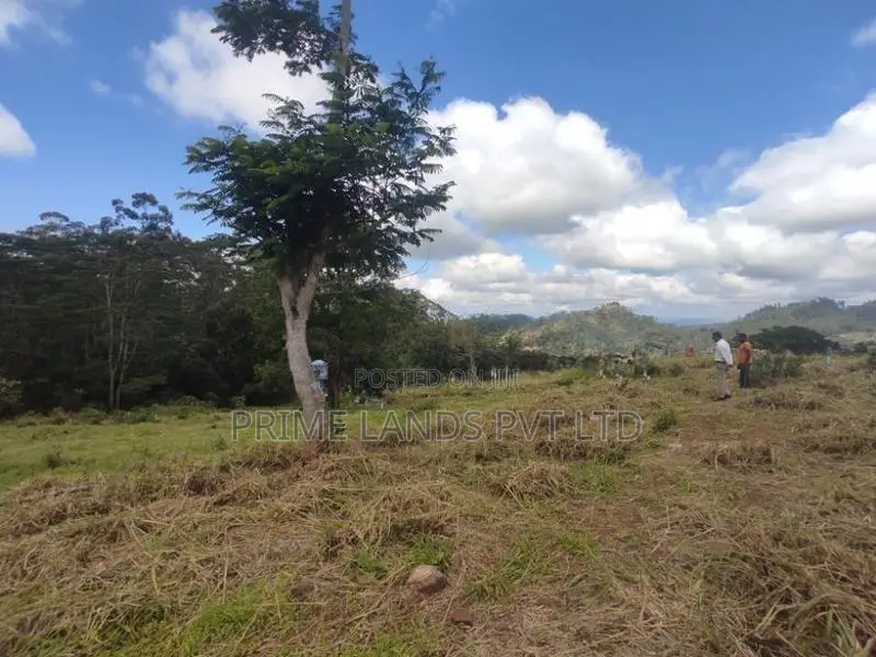 pussalawa නගරය ආසන්නව ඉඩමක්