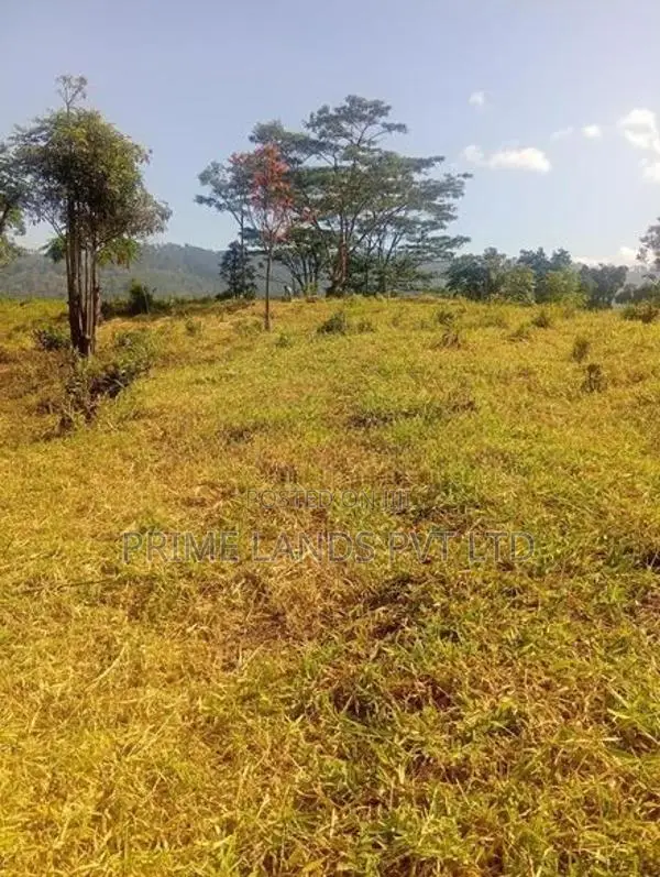 pussalawa නගරය ආසන්නව ඉඩමක්