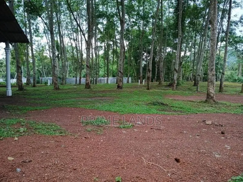 දියුලපිටිය කොළඹ 5 පාරට මීටර් 500යි බිම්කොටස්