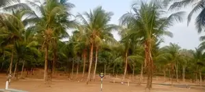 Kadawatha Land for Sale