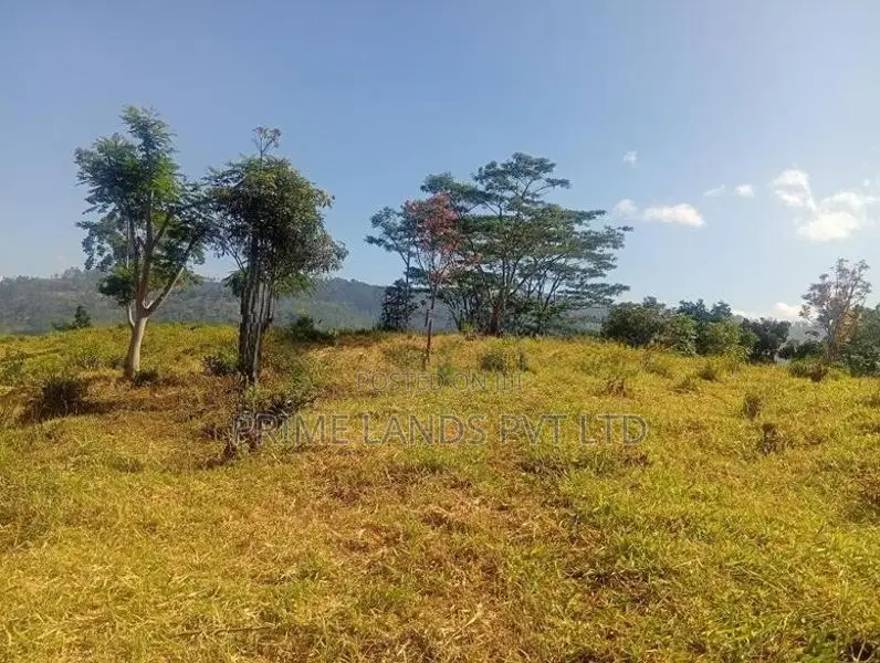 pussalawa නගරය ආසන්නව ඉඩමක්