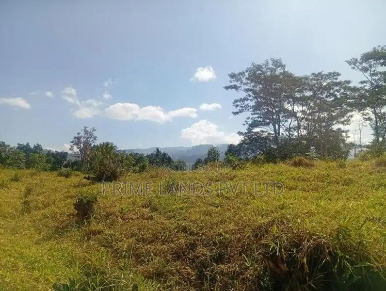 pussalawa නගරය ආසන්නව ඉඩමක්