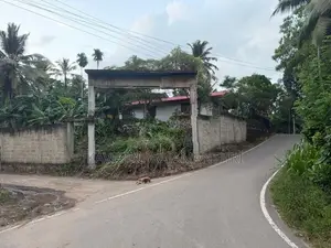 Land For Sale Wanchawala