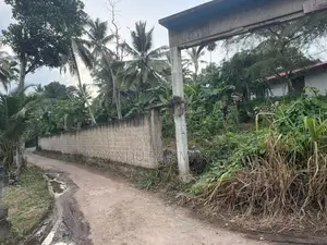 Land For Sale Wanchawala