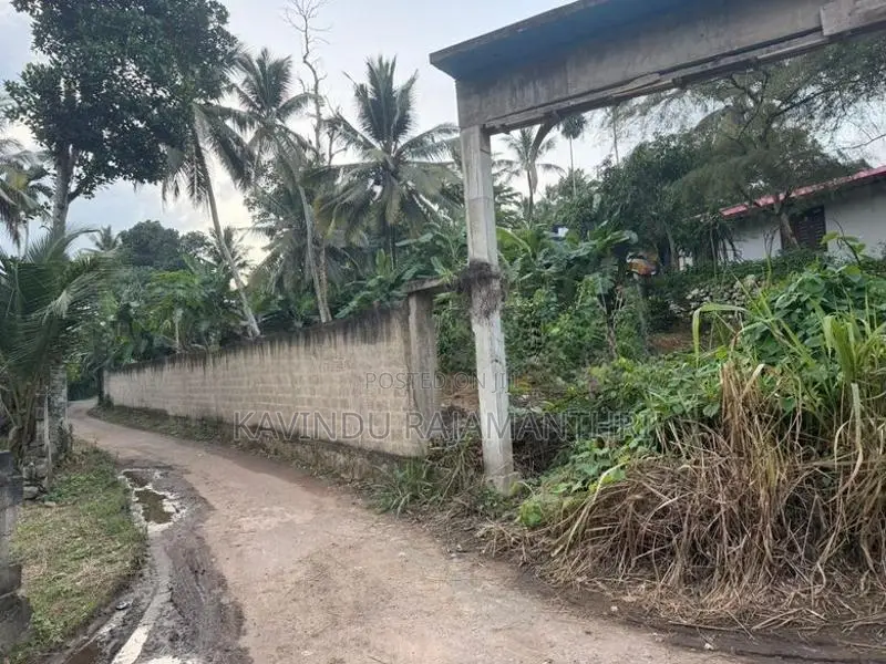Land For Sale Wanchawala