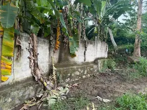 Land For Sale Wanchawala