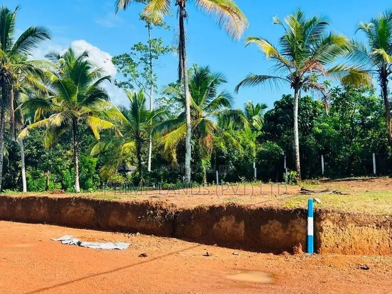 අලුත්ගමින් හොඳ ඉඩමක්