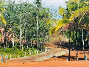 අලුත්ගමින් හොඳ ඉඩමක්