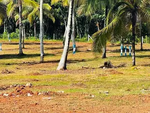 අලුත්ගමින් හොඳ ඉඩමක්