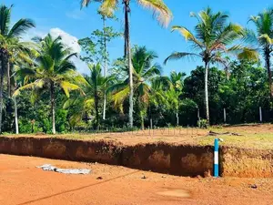 අලුත්ගමින් හොඳ ඉඩමක්