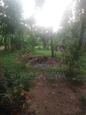 43 Perch Land for Sale in Katunayaka